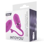 Vibrating Egg with Remote Control Odise USB Silicone Pink - INTOYOU - Image 2