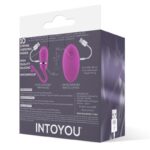 Vibrating Egg with Remote Control Odise USB Silicone Pink - INTOYOU - Image 3