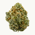 BERRY KUSH