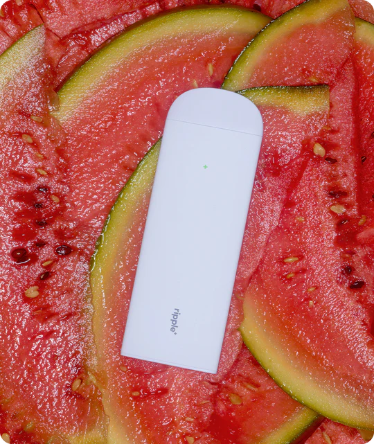 FREE-WatermelonAroma_540x RIPPLE+ WATERMELON - Image 4