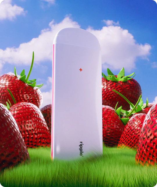 PLAYIMAGERY-12_540x RIPPLE+ STRAWBERRY - Image 5