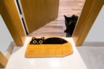 Cat Box Doormat - Image 2