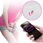 Fisherman Vibrating Egg with App - PRETTYLOVE - Image 14